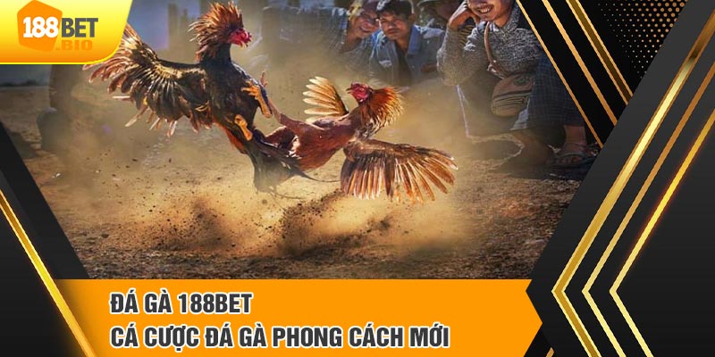 Giới thiệu qua một số thông tin chi tiết về đá gà 188BET