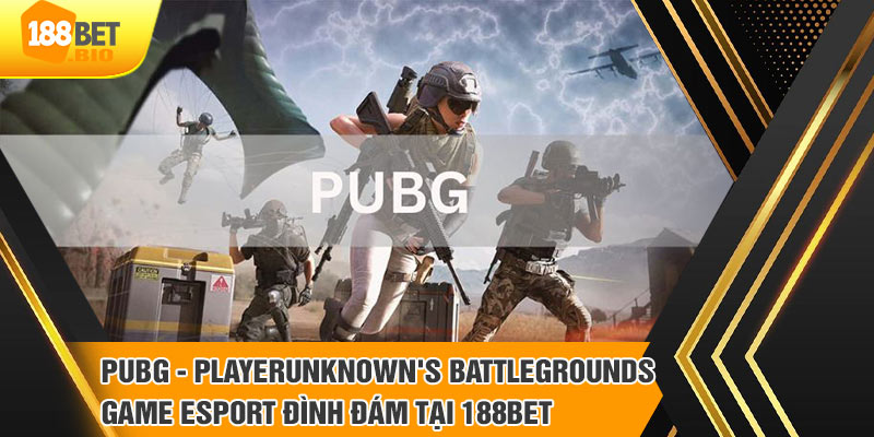 Tìm hiểu sơ lược về game Battlegrounds